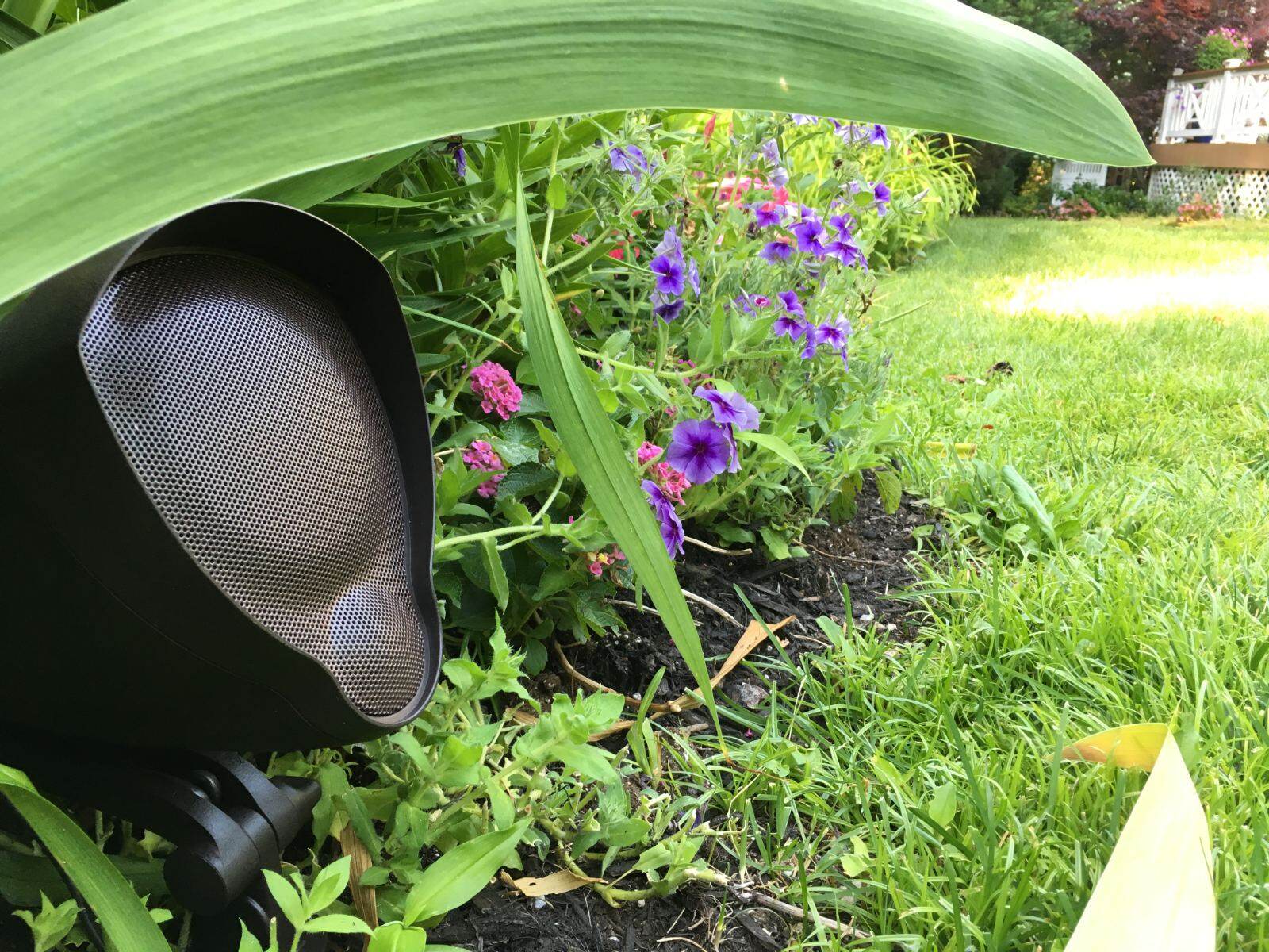 A landscape speaker tucked under planting